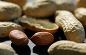 Кровь доноров-любителей арахиса опасна для реципиентов с аллергией на этот продукт