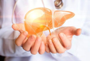 Опыт применения битамина EssentialPhospholipids